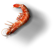 top_shrimp